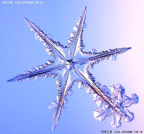 放大1000倍的雪花,美极了!