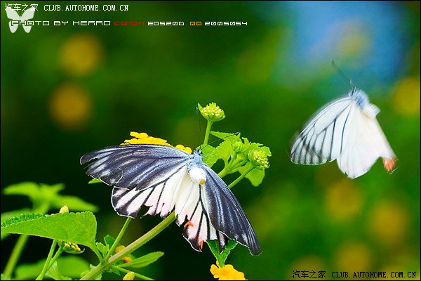 重庆、贵州、昆明、成都到西双版纳自驾游住宿