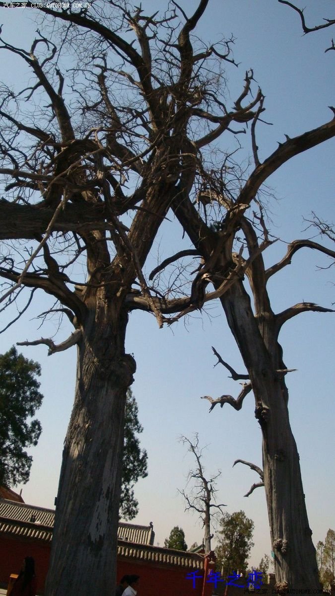 拜谒淮阳太昊陵