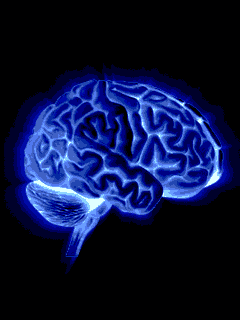 世纪难题-看官请挑战(附养眼美图)