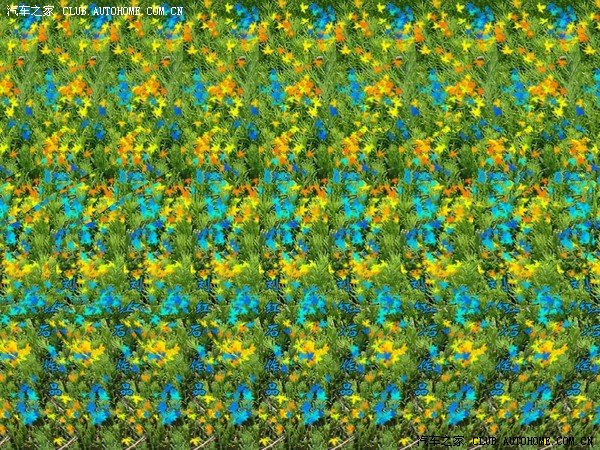 三维立体图壮大斗鸡眼队伍