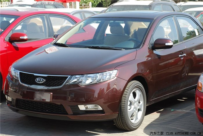 福瑞迪颜色全图申精