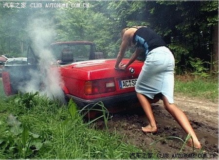 一组国外女人开车的搞笑图片
