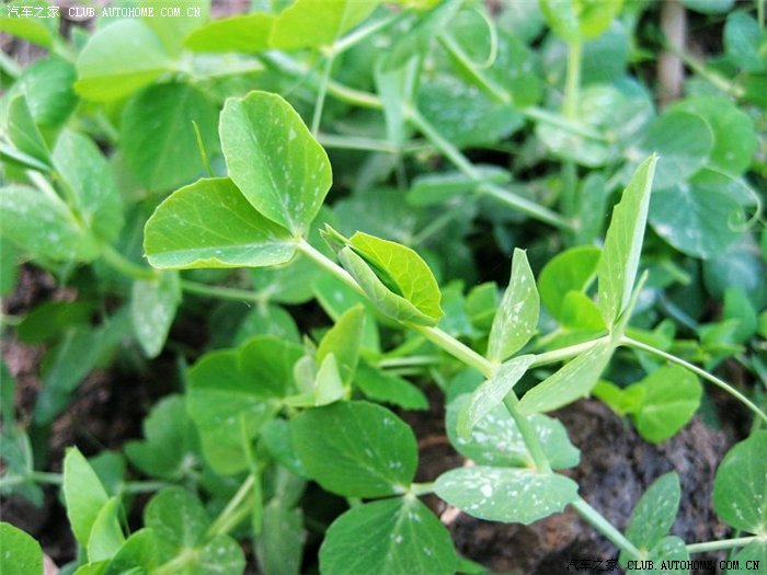 冬至临近开着qq出去沐浴冬日的阳光