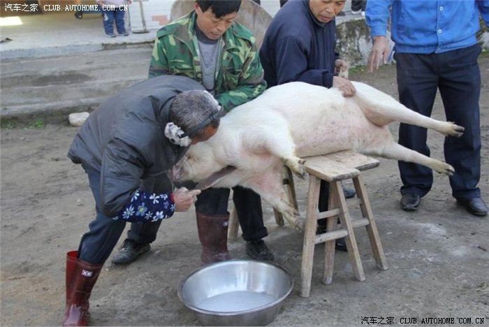 杀猪饭味浓吃客们兴足