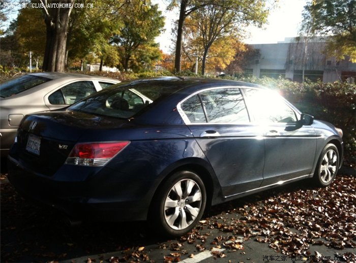 美版八代雅阁图片