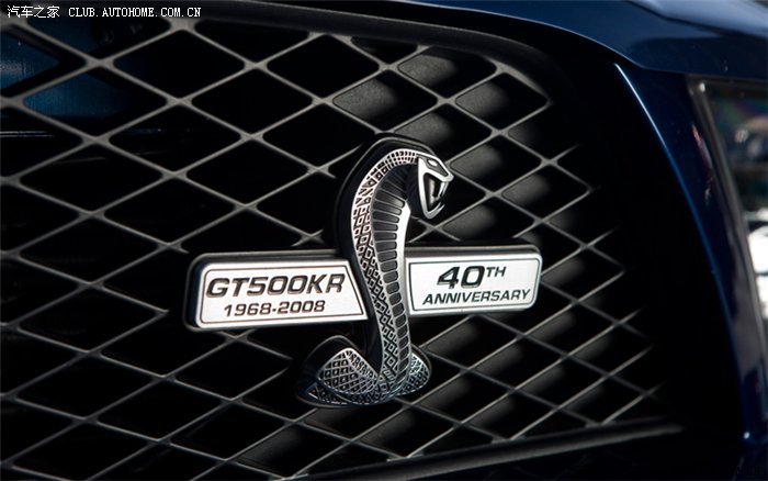 我头像的来源~40周年纪念车标! 中间是shelby著名的cobra车标!