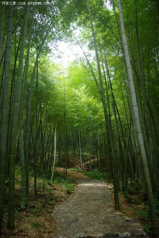 南京横溪石塘竹海自驾一日游