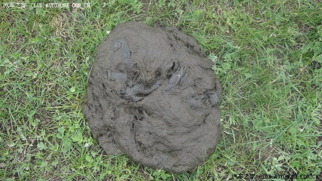 路过一片大草原随意拍几张