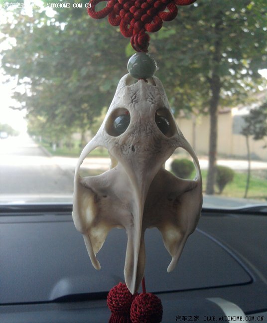 握长缨秀秀我车上的挂饰