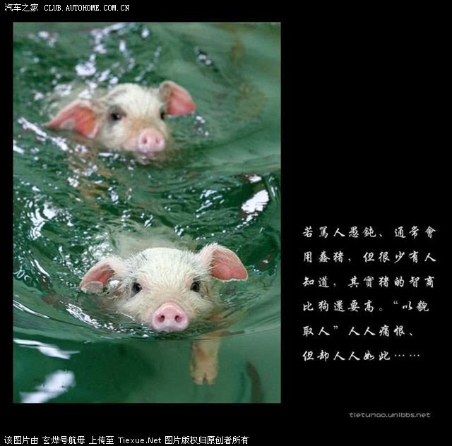 让你恍然大悟的图片10p
