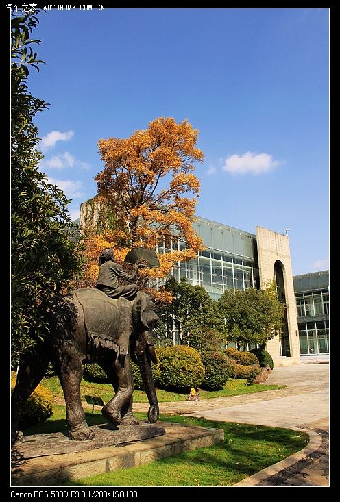 【图】冬日里的红塔西路,袁晓岑艺术园(多图,更新完!)_polo论坛_汽车