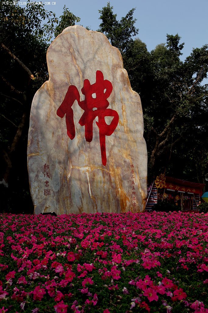 门口有一个大佛字,佛与观音有什么区别,知道的回答.