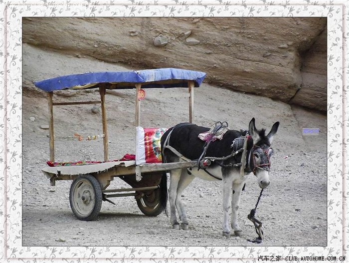 峡口有一大排马棚,栓着数十匹马,棚外还有好几辆驴车