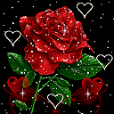 128_128gif 动态图 动图