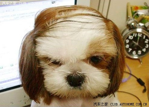 如果粘贴时间还,怕就怕时间如同那缕头发样耷拉来可就搞笑