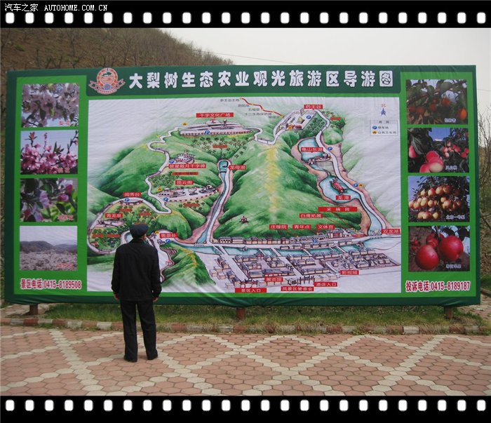 五一虎游之大梨树