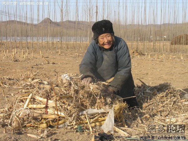 转帖面对一个孤苦伶仃的老人有车有楼在深圳的儿子你忍心吗