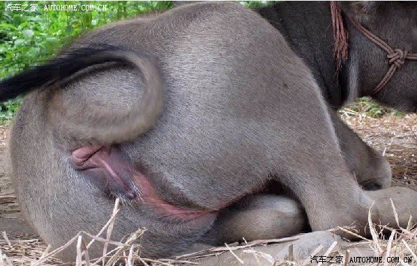 ariel atom北京大兴纯手工打造原子跑车 第一帖 废品开会