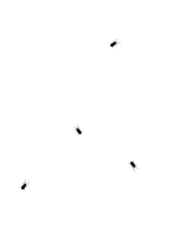 2011-06