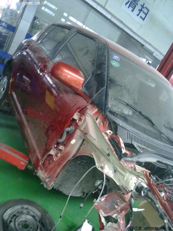 告诉你真实的雨燕很结实的多图告诉你