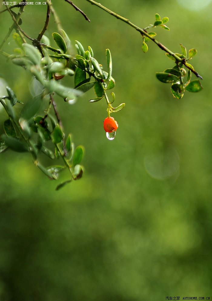 【ll6401】云南·抚仙湖·碧云寺游记