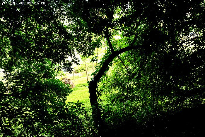 【ll6401】云南·抚仙湖·碧云寺游记