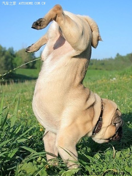 技术咨询大家的玛吉斯轮胎用起如何喃24的225轮胎是不是窄了