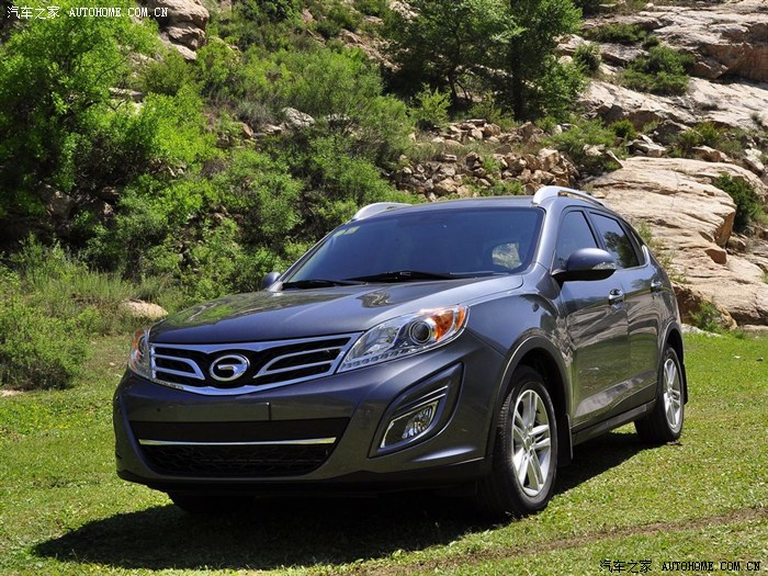 传说中的雪豹,蓄势待发