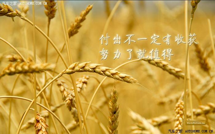 看的累了发几个意境的照片