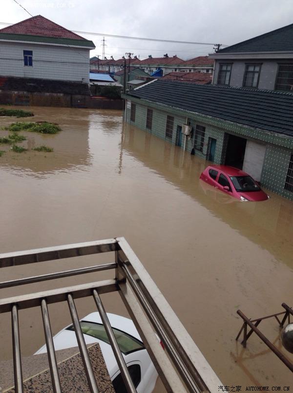 发多了都是泪余姚水灾真心苦