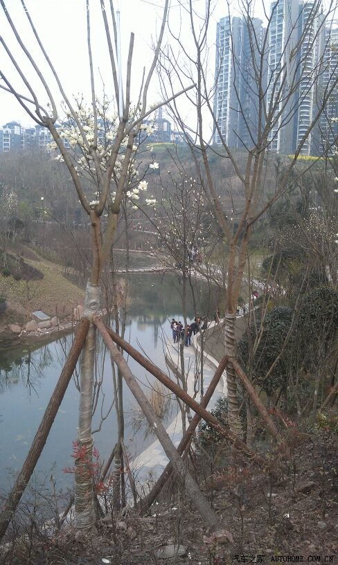 大年十五去泸州城西公园耍有惊喜