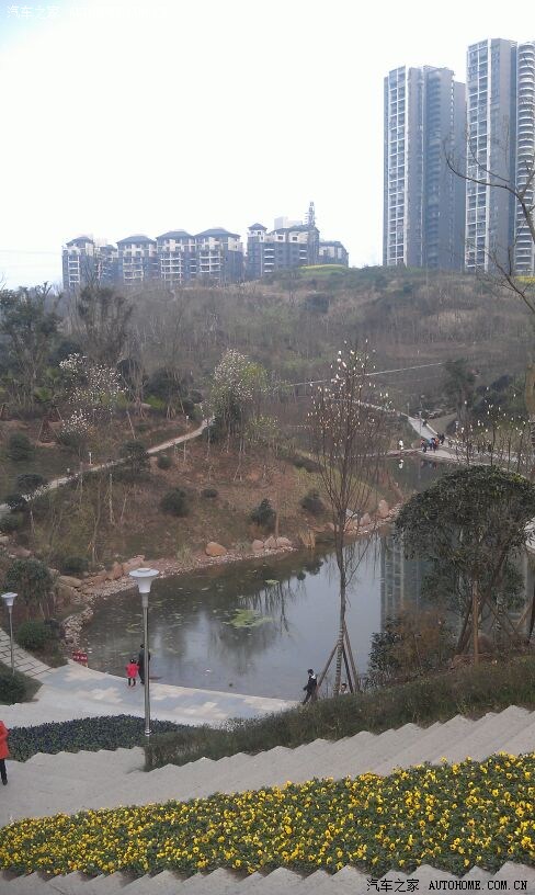 大年十五去泸州城西公园耍有惊喜