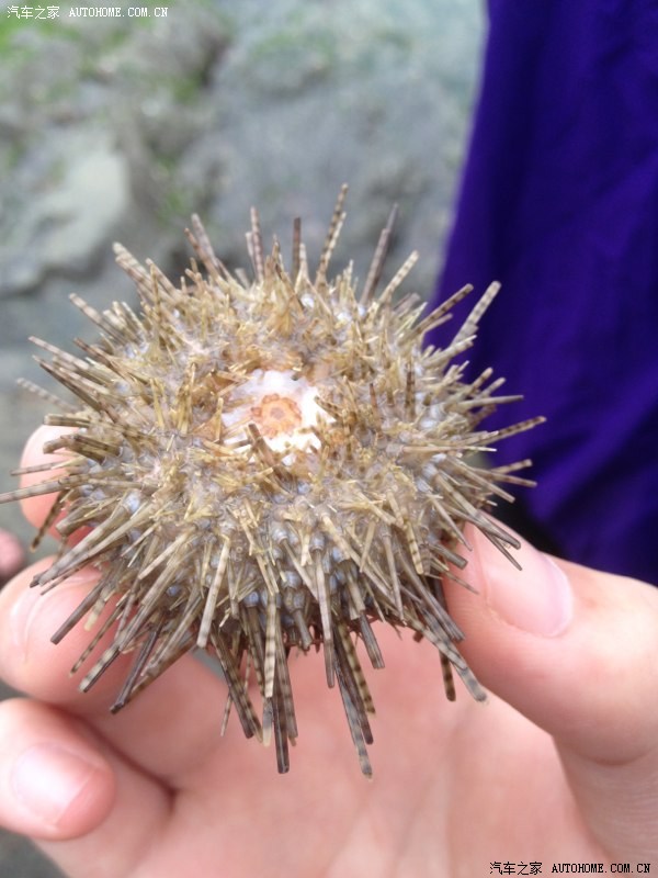 福州马友自驾游半直播