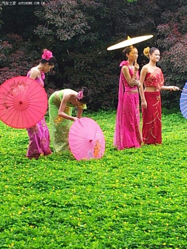 人像阿娜多姿的傣族美女