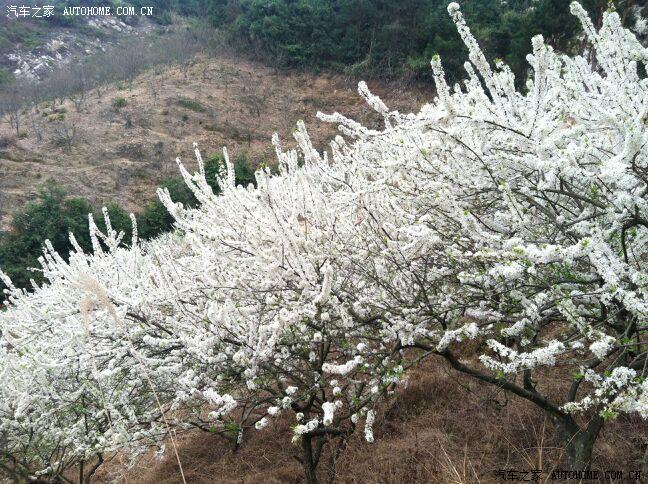 年初五游广东封开麒麟山