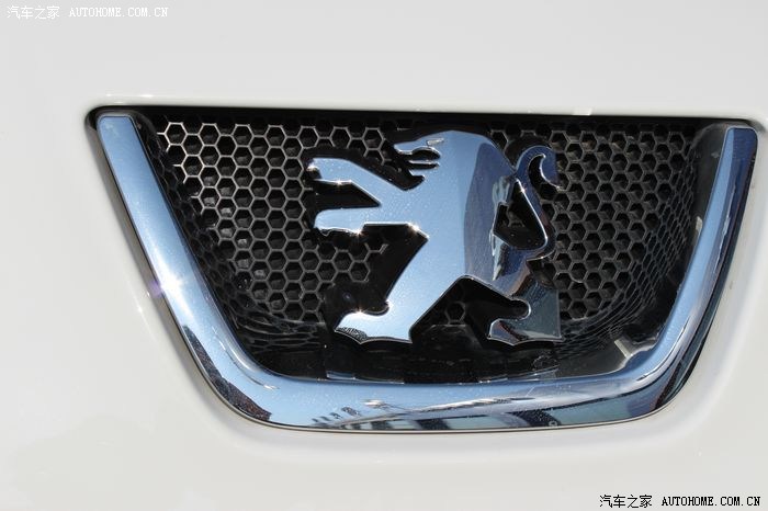 白色狮子作业,先祝贺下自己