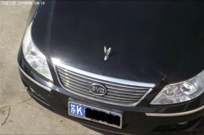 今天装了个立标,原来车子没立标,不好看,装了立标显得更大气.