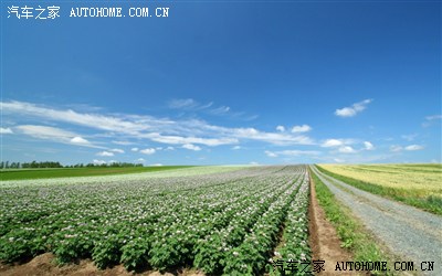 沃尔沃的广告中,女主角竟然穿着高跟鞋开车,还