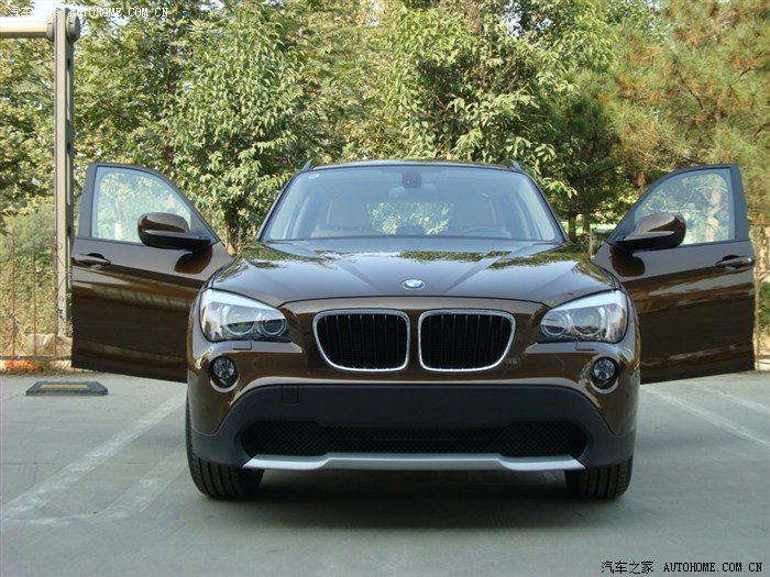 我的小马马拉喀什棕我的最爱