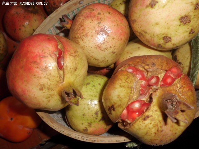 石榴都熟炸开了.