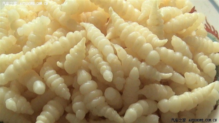 麻子或叫麻头,苘麻头(时候拣嫩吃)