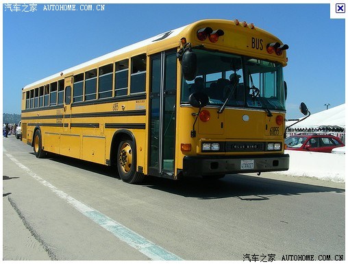 美国蓝鸟校车