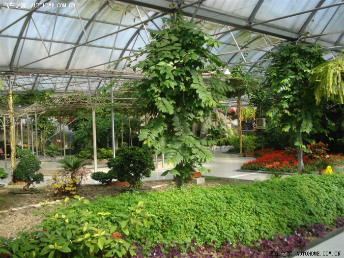 合肥市丰乐生态园游玩2011年12月25日