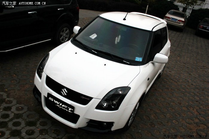 15白色雨燕有跟我一样的吗