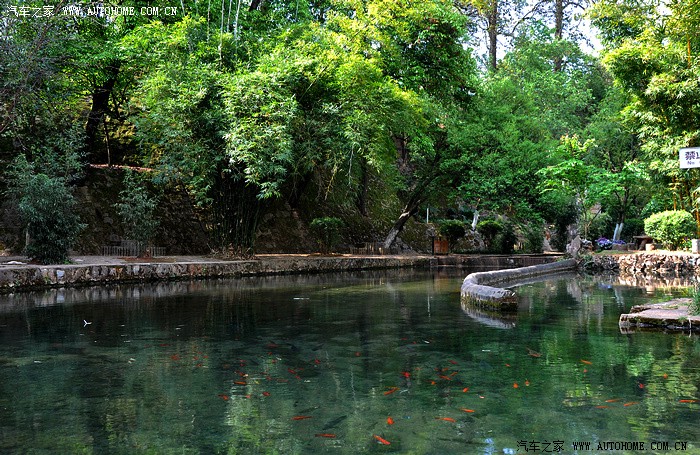 周末自驾游记玉溪九龙池公园