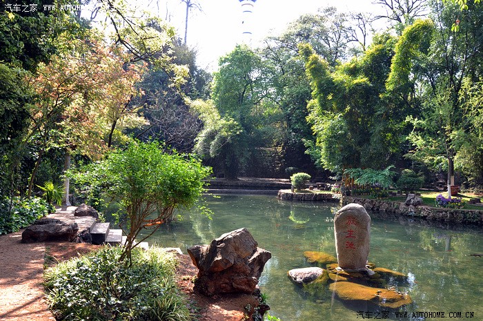 周末自驾游记玉溪九龙池公园