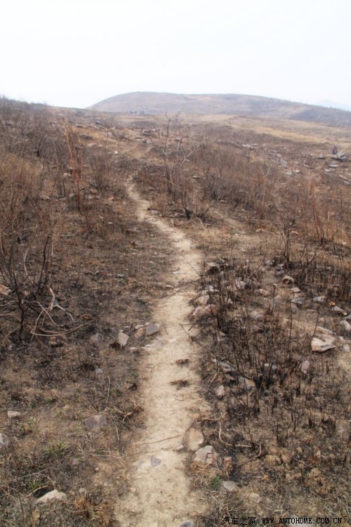 庆三八节登歪头山游楚长城多图