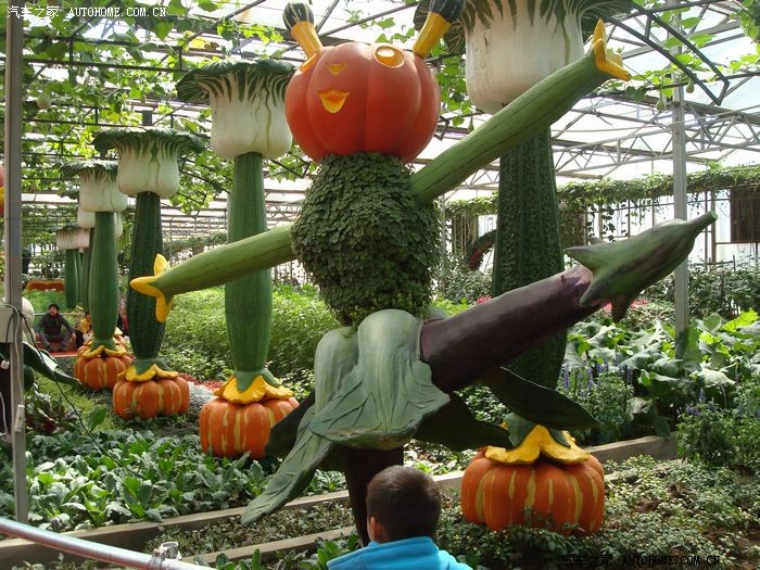 答应的事一定要做到,寿光第十二届蔬菜博览会.