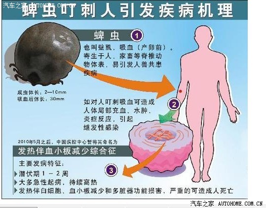 转图解蜱虫叮咬病例